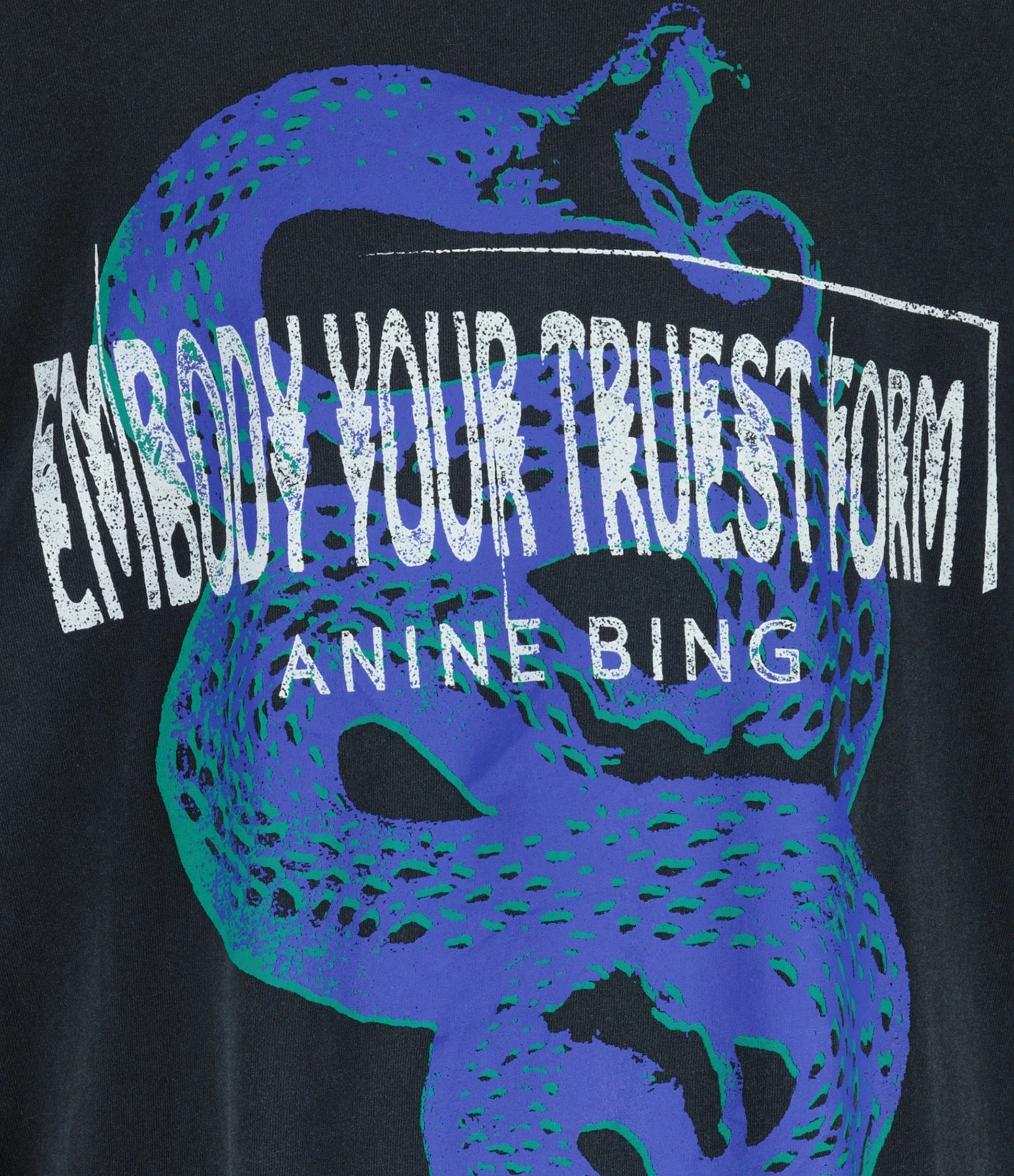 ANINE BING Tee-shirt Walker Coton Noir Délavé – Image 2